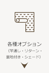 各種オプション