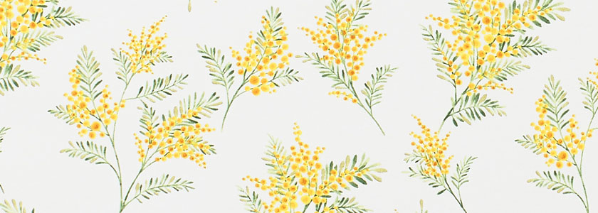 「ロールスクリーン　ラルクシールド（ミモレ）」の生地拡大の写真