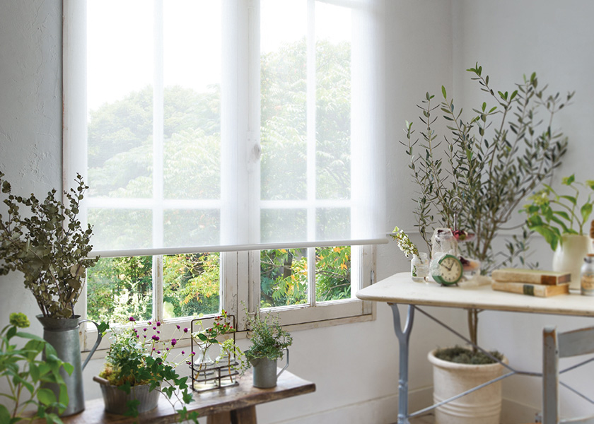 開放的なリビングにおすすめの「ロールスクリーン ソフィー(アエル)」の利用例の写真