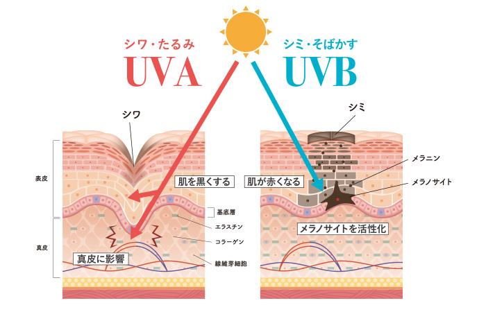 最高ランクUPF50+ UVカットレースカーテン(L-8209)